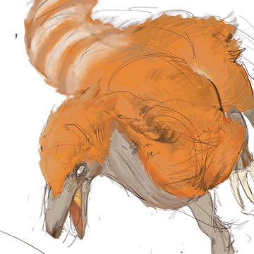 中华鸟龙