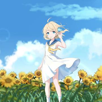 真夏とひまわり