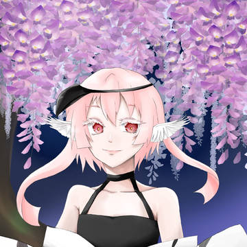 白鴉