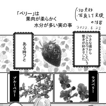「ベリー」は果肉が柔らかく水分が多い実の事