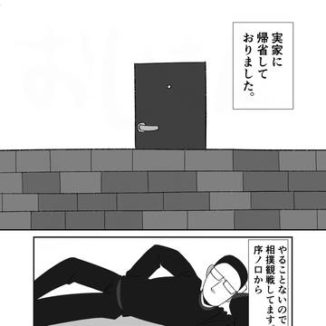 相撲観戦を1日中しました