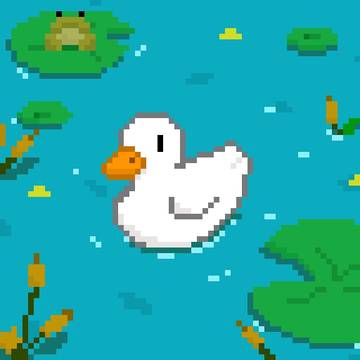Duck on a pond