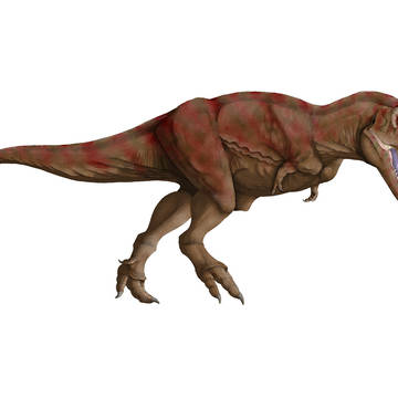 タルボサウルス_2026