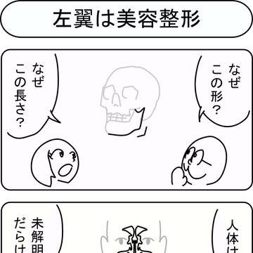 左翼は美容整形