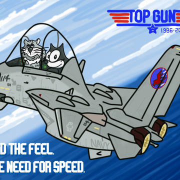 TOP GUN 40th Anniv.