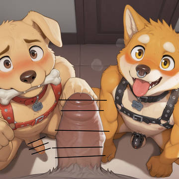 狗狗互动