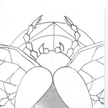 Black Scarab