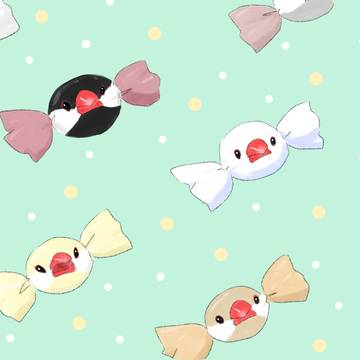 文鳥キャンディ