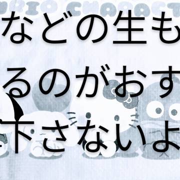 体に気お使い魔女