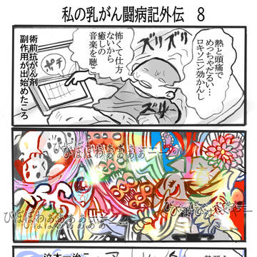 私の乳がん闘病記外伝　８