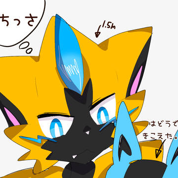 ゼラ詰め