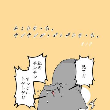 6/28 新刊 「ねこになった。チンチンがトゲトゲになった。」