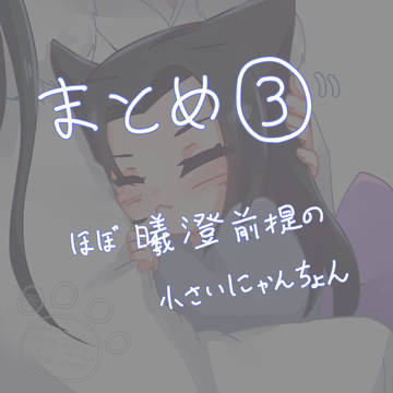 ほぼにゃんちょんなログ③