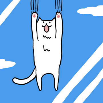 ひっかき猫 cat scratcher