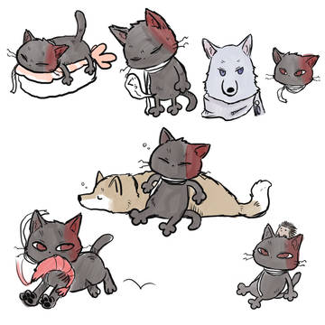 Page 11 thumbnail