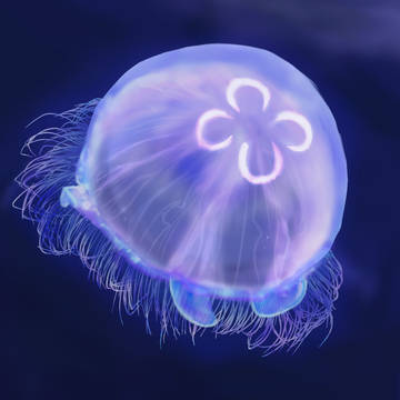揺蕩