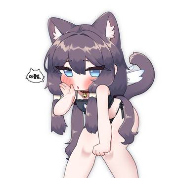 cat_mayo_2026_05