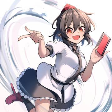 射命丸です