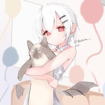 猫を抱く