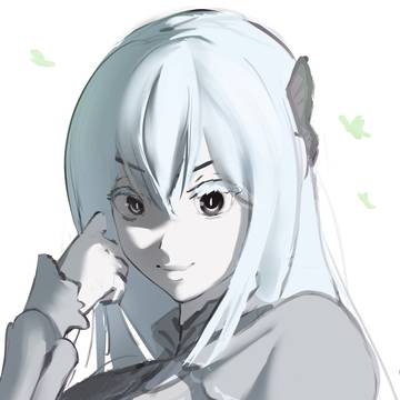 Echidna