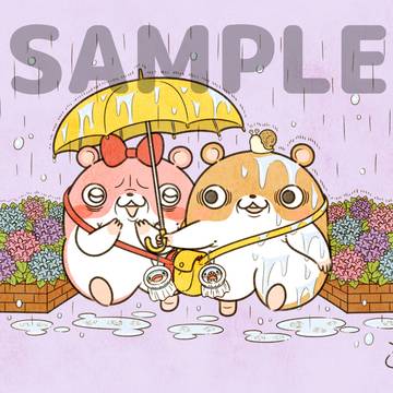 突然振り出した雨に濡れないように相合傘をするキョムとヤム