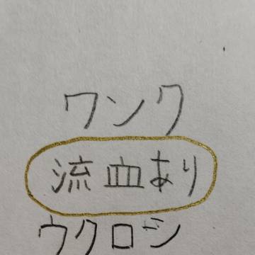カンヒュ&ポーランドボール 動画で使ったヤツ編