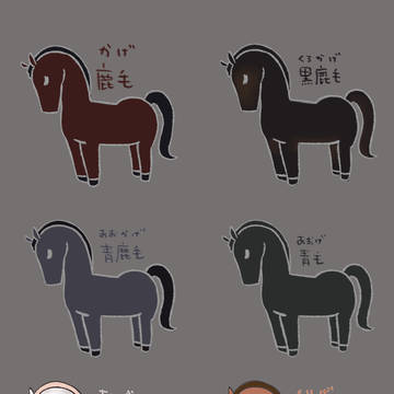 サラブレッドの毛色見本