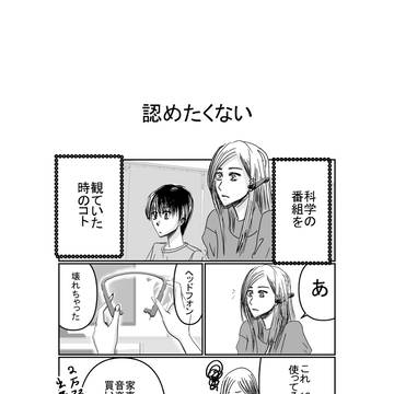 認めたくない