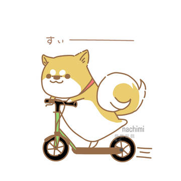 すぃー