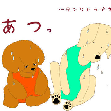 タンクトップワンコ