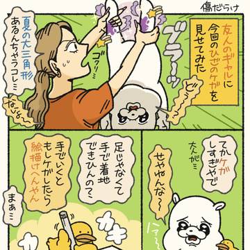 傷だらけの絵日記