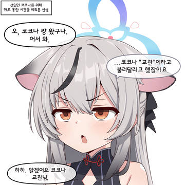 깨달은 코코나