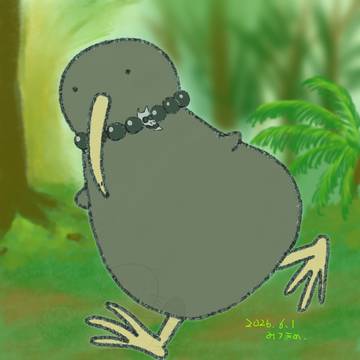 キーウィさん走り回る