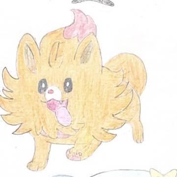 ポムケン（カラー）