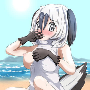 アオアシちゃんの胸肉
