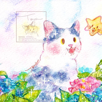 紫陽花の季節がやってきた