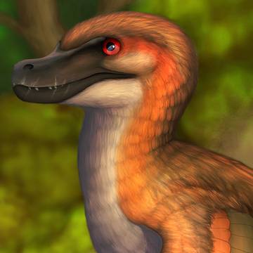 V. mongoliensis