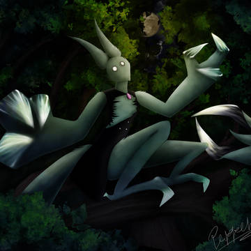 The Mystery of the Forest