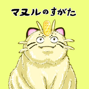 ニャース　（マヌルのすがた）