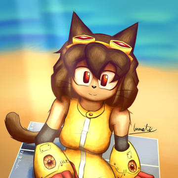 Kit