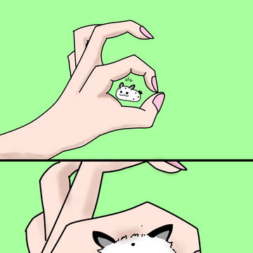 ふしかわいい