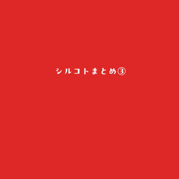 シルコトまとめ③