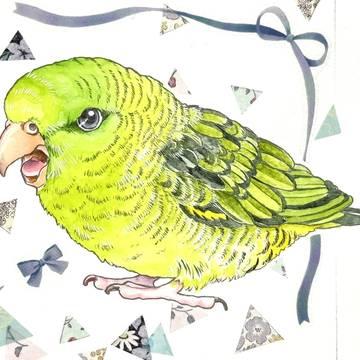 サザナミグリーン