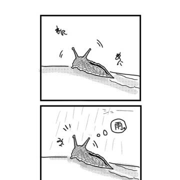 蒸発