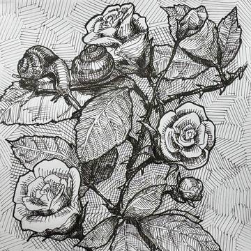 薔薇・蝸牛