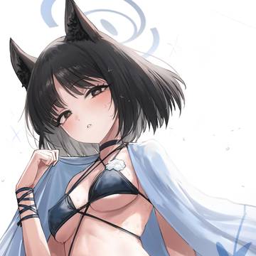 キキョウ
