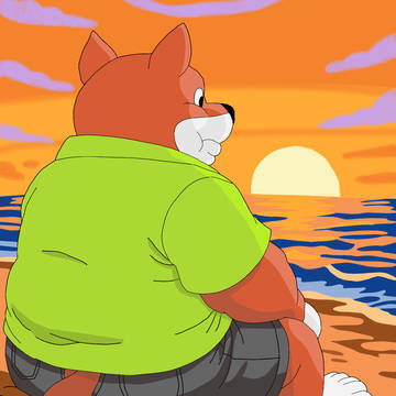 夕暮れの柴犬