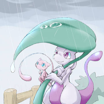 雨