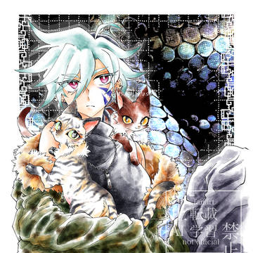 猫と