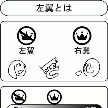 左翼とは